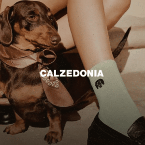 Calzedonia - Rivétoile