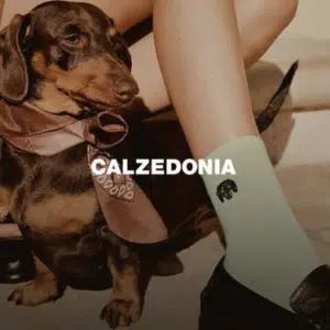 Calzedonia - RIVETOILE