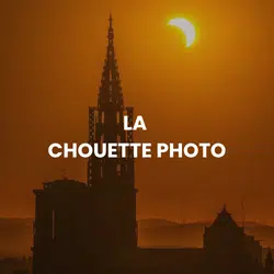 LA CHOUETTE PHOTO - Rivétoile